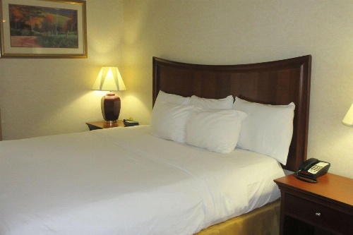 Quality Inn & Suites image 2
